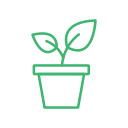 potted-plant