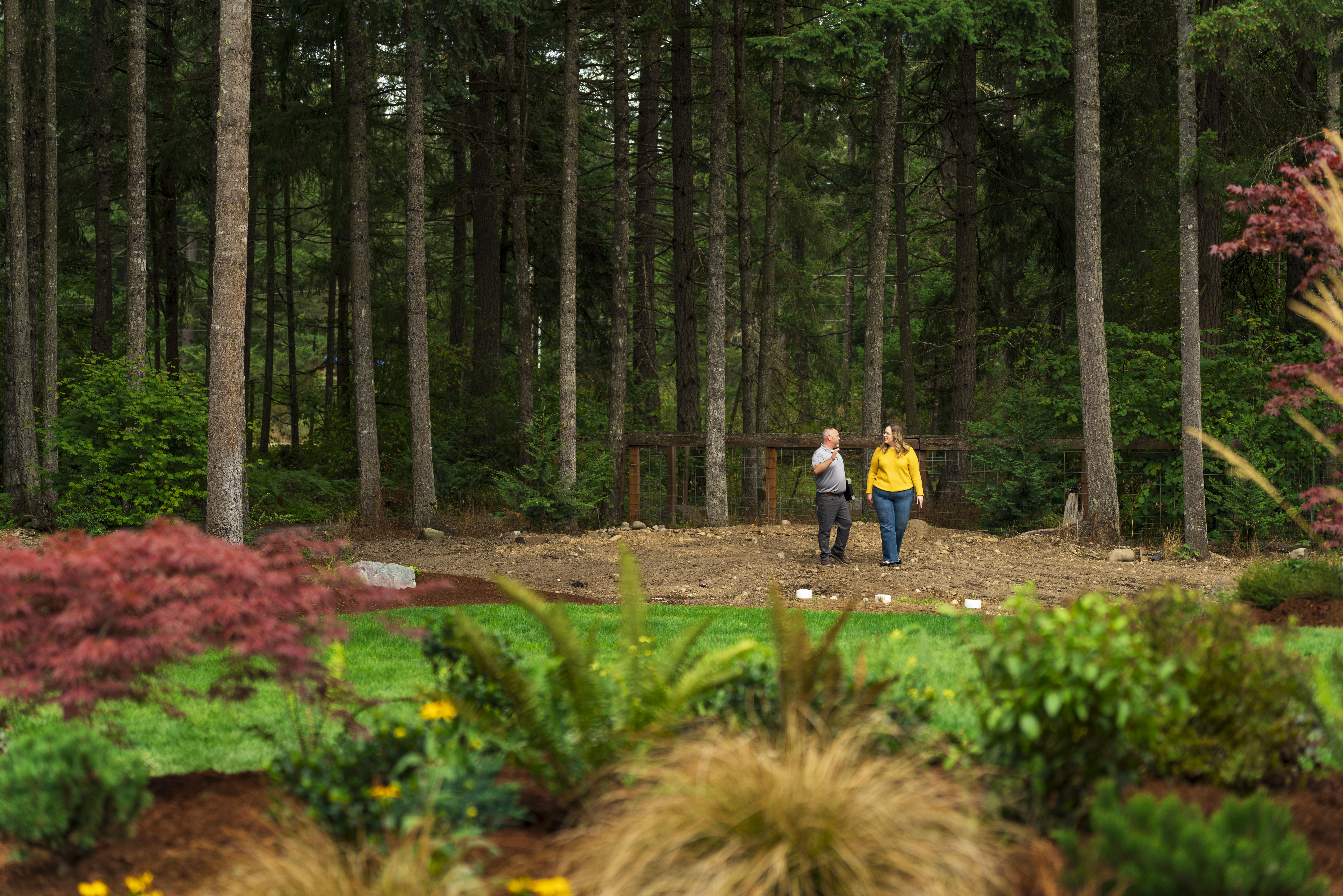 Energy-Efficient Landscaping Shade Trees, Windbreaks, and More