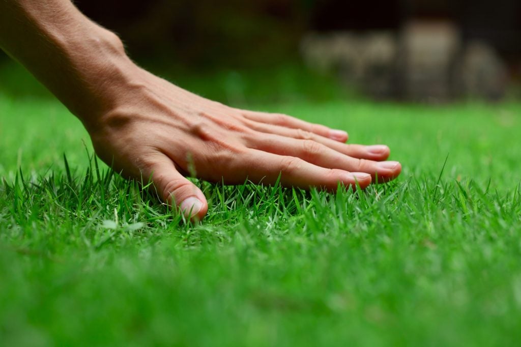 turf installation in Tacoma