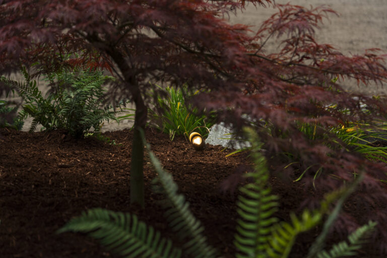How To Design a Low Maintenance Landscape that Looks Amazing