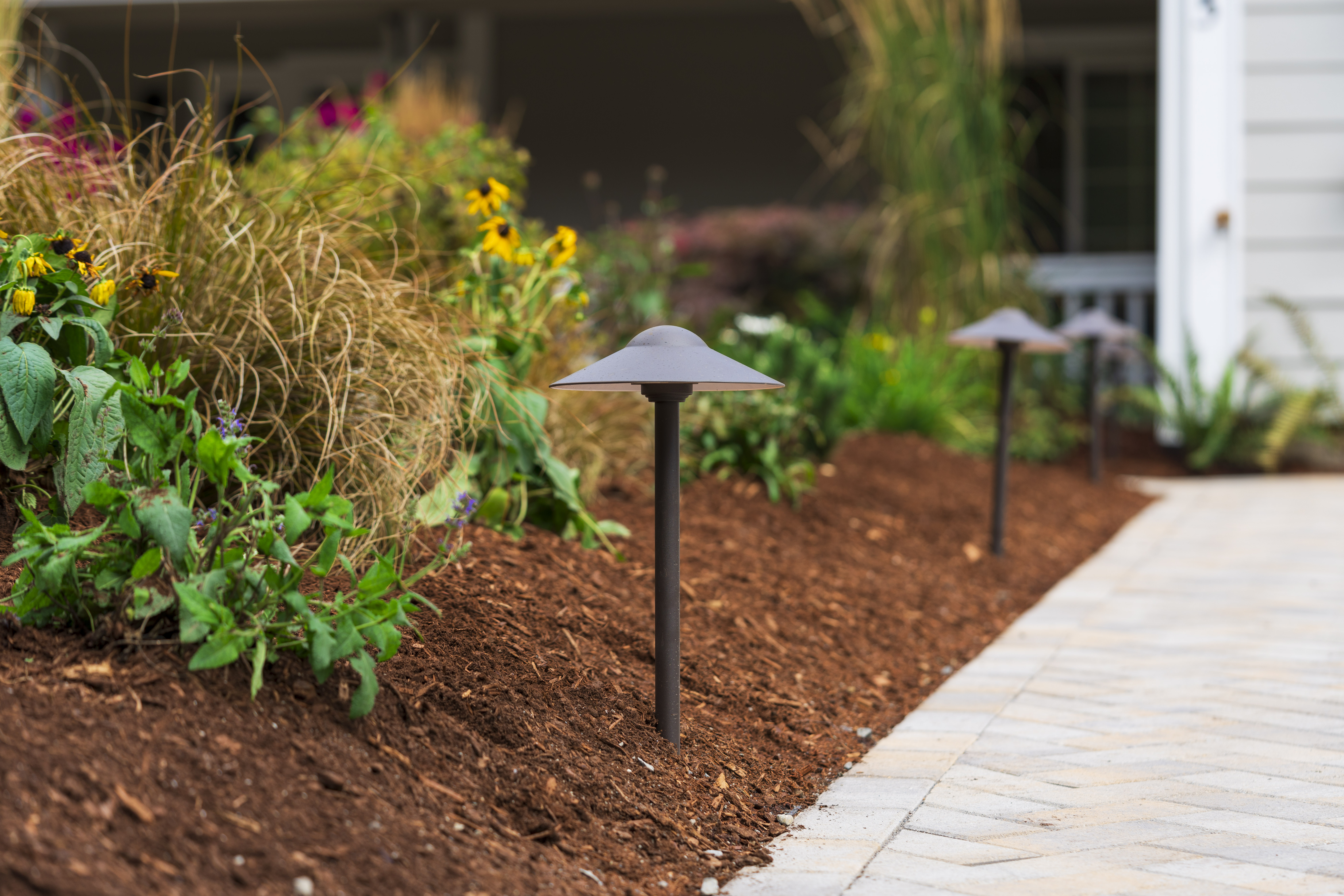 How to Plan a Sustainable Landscape on a Budget
