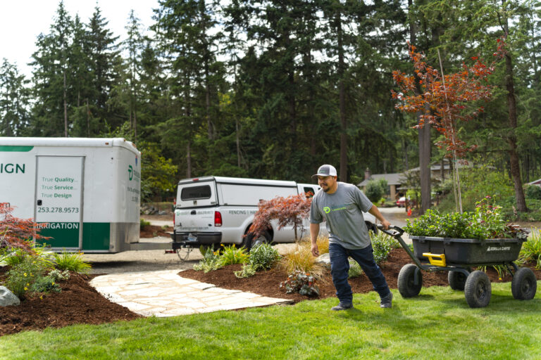 Step-by-Step Guide to Preparing for Sod Installation