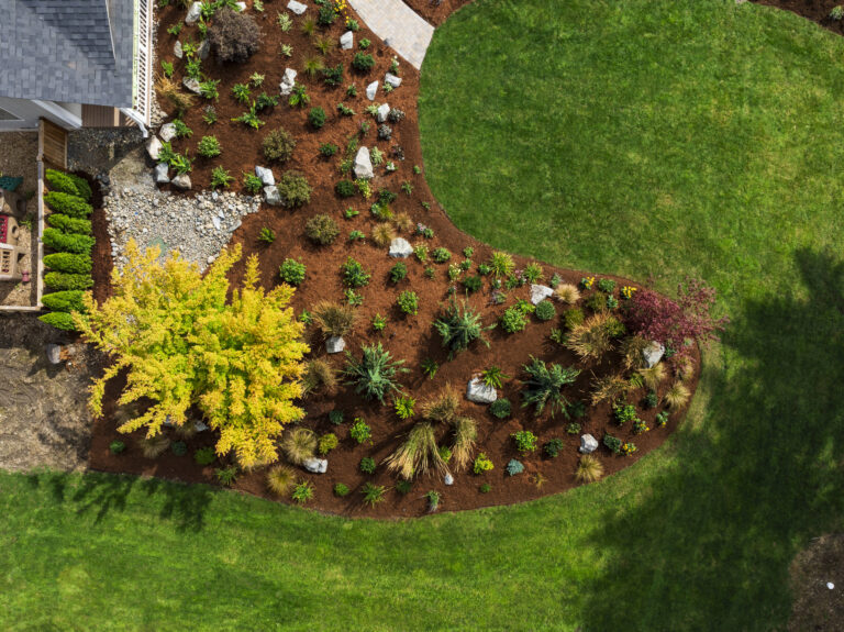 Summer Lawn Care Mistakes that Could Ruin Your Grass