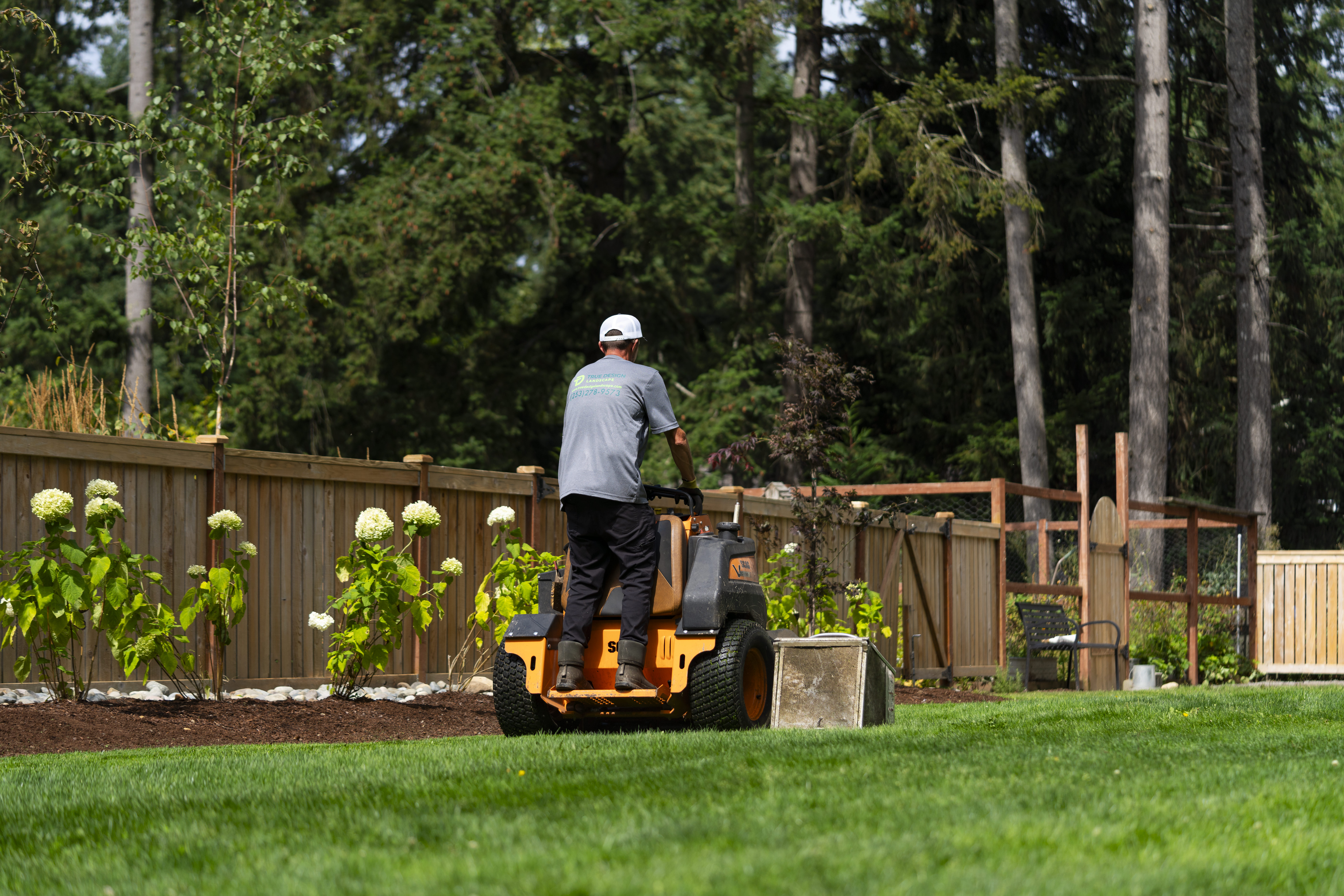 Why Tacoma’s Rainy Climate Still Requires Sprinklers in Summer