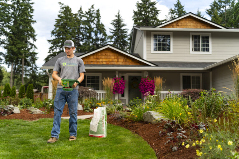 Winter Lawn Care Tips To Keep Your Grass Healthy Until Spring