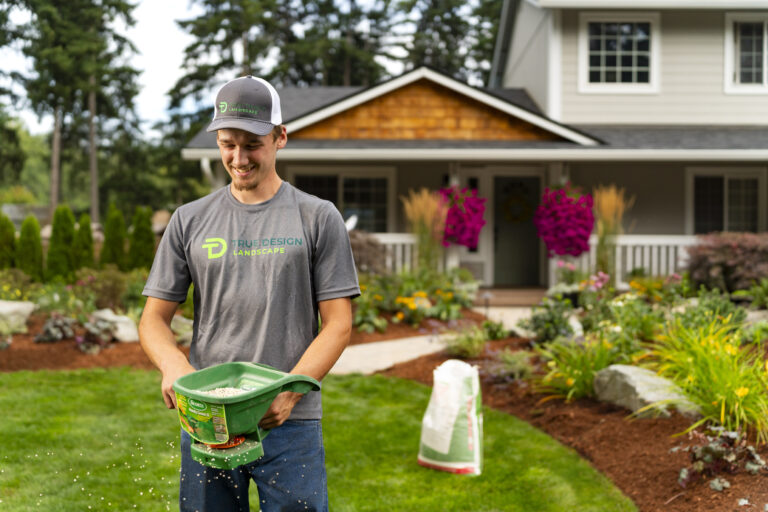 Winter Yard Cleanup Checklist Before Snow