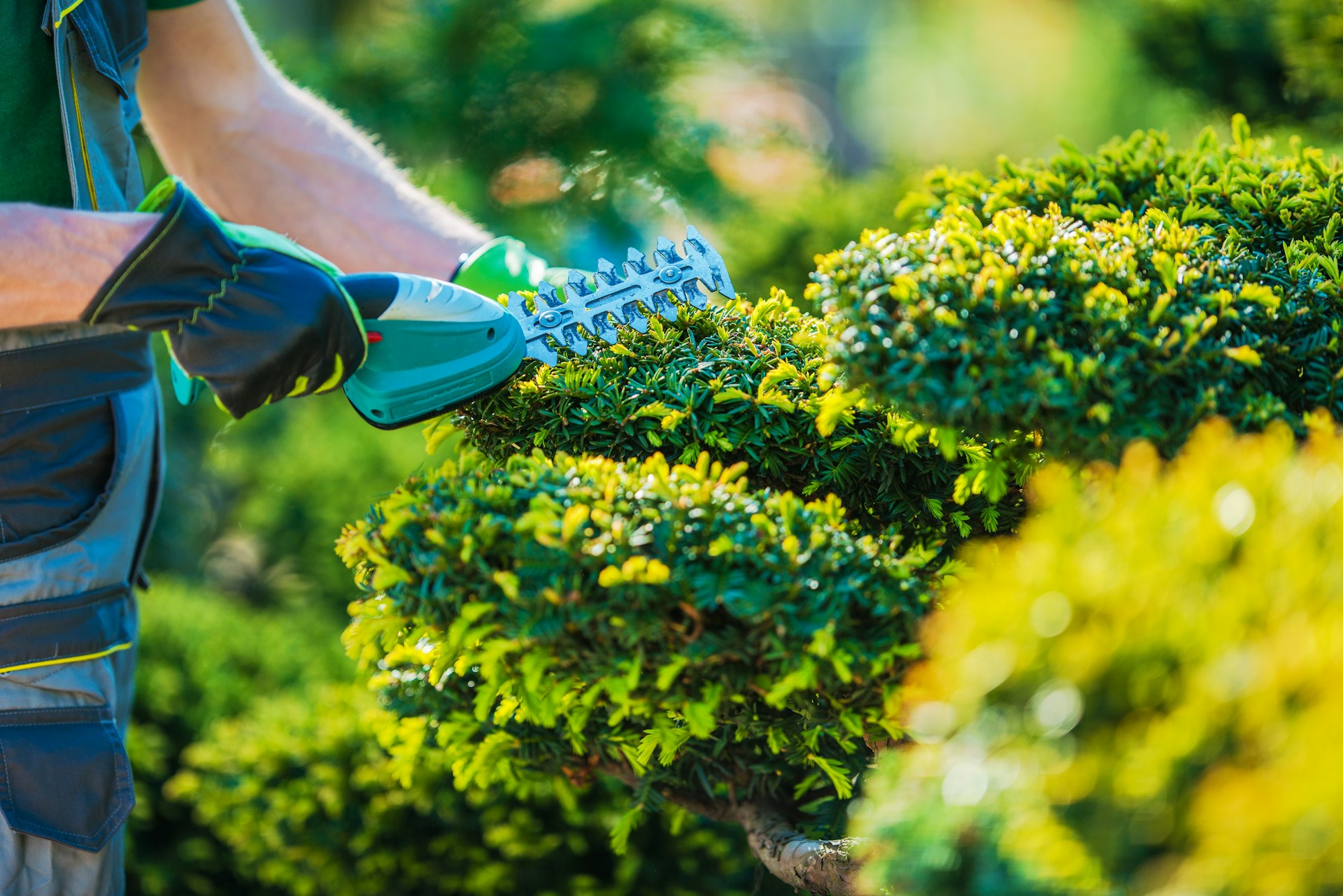 custom landscape design